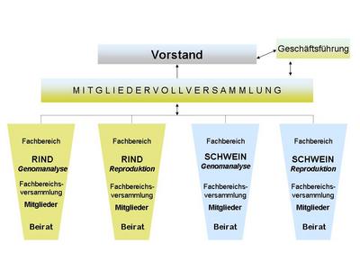 Organigramm100807ohnel