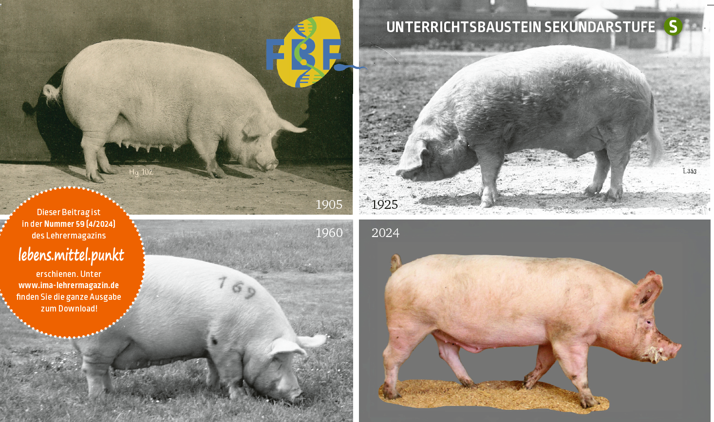 Ausschnitt Für Homepage Tierzucht Macht Schule