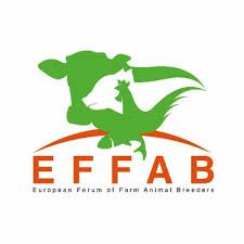 EFFAB 2018