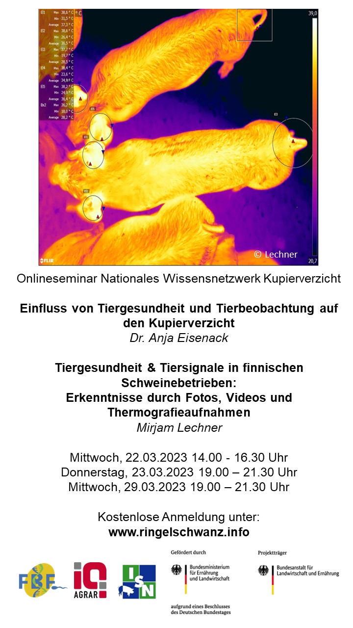 20230224 Kachel Tiersignale Hochformat