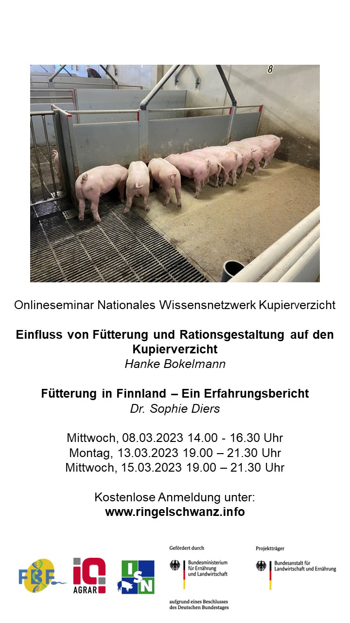 Kachel Fütterung Hochkant