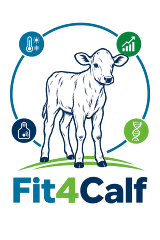 Logo Fit4Calf