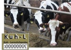 KuhL KuhL