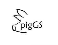 Piggs