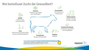 Copyright: Erfolgsgeschichte Tierzucht