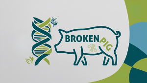 BrokenPig Projektlogo