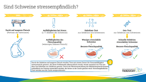 Copyright: Erfolgsgeschichte Tierzucht