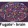 Fugatoplus Brain